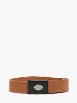 Riem Orcutt Dickies Bruin orcutt KD0A4X7E