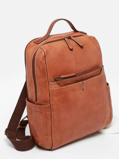 Business Rugzak Basilic pepper Bruin traveler BTRA10 ander zicht 2